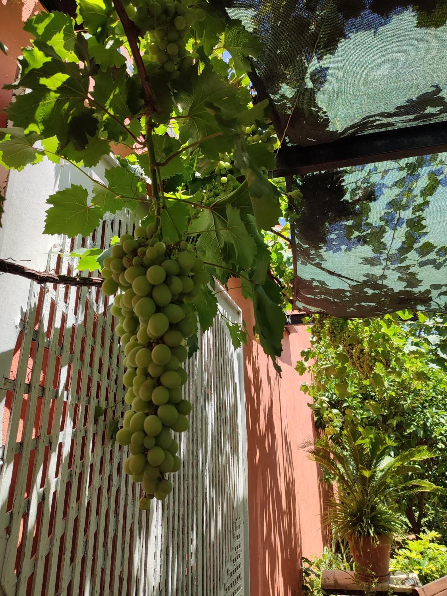 Tavira Townhome With Private Garden エクステリア 写真